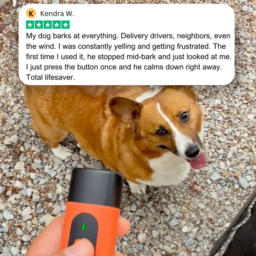 Anti Barking Device