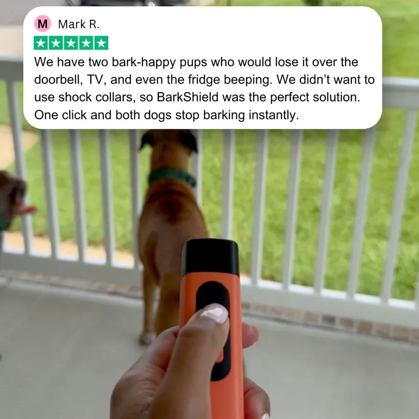 Anti Barking Device